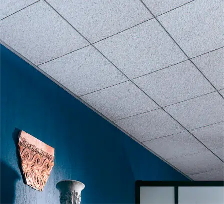 Acoustic Ceiling Tiles 1.png 1