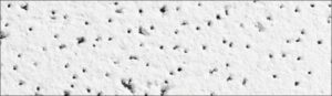 Acoustic Ceiling Tile Solutions